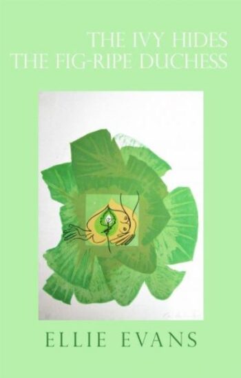 The Ivy Hides the Fig-Ripe Duchess
