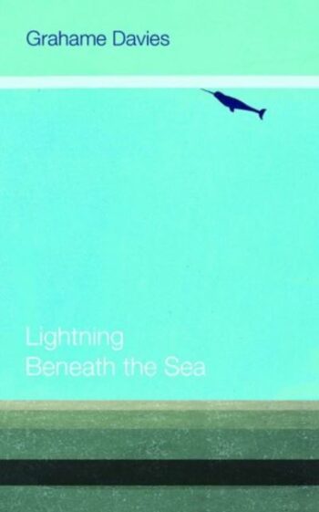 Lightning Beneath the Sea