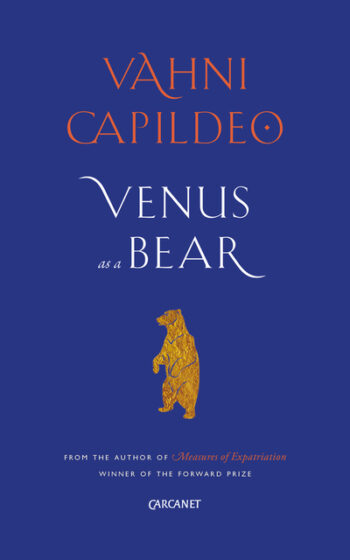 Venus As a Bear