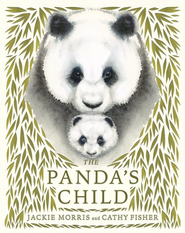 The panda's child